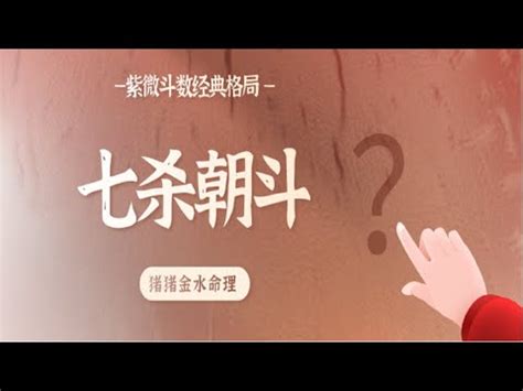 七煞意思|七煞（命理概念）